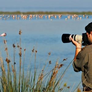 Birdwatching