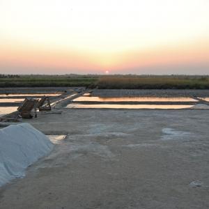 Salina Cervia 1