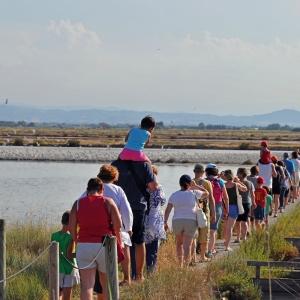 Salina Cervia 2